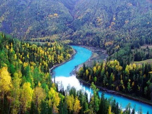 喀纳斯景区爆料视频播放  第1张