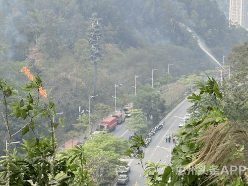 南安东大烧山最新爆料,揭秘神秘古墓背后的历史之谜  第2张